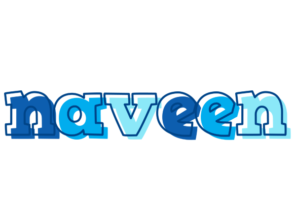 Naveen sailor logo