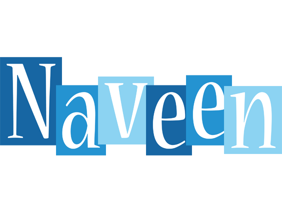 Naveen winter logo