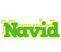 Navid picnic logo