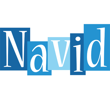 Navid winter logo