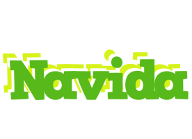 Navida picnic logo