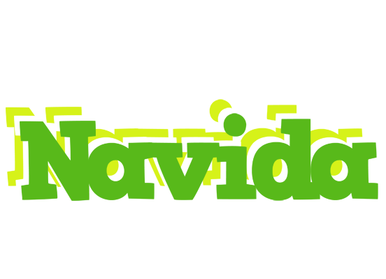Navida picnic logo