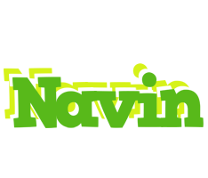 Navin picnic logo