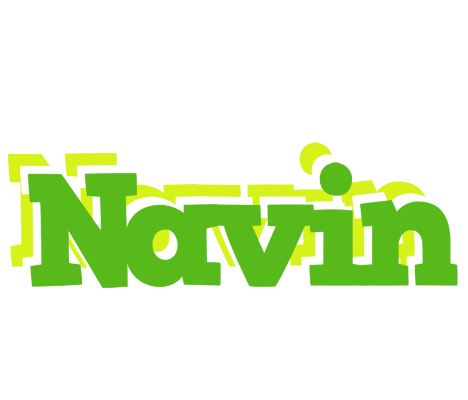 Navin picnic logo
