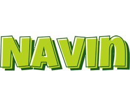 Navin summer logo