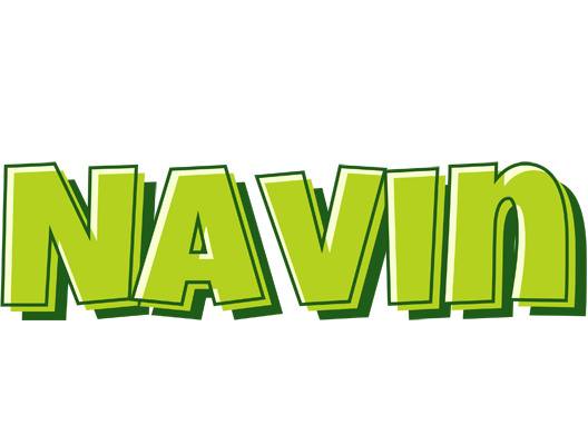 Navin summer logo