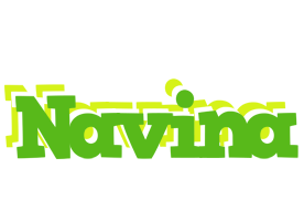 Navina picnic logo