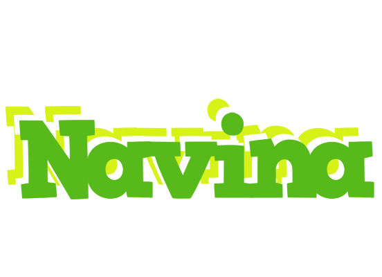 Navina picnic logo