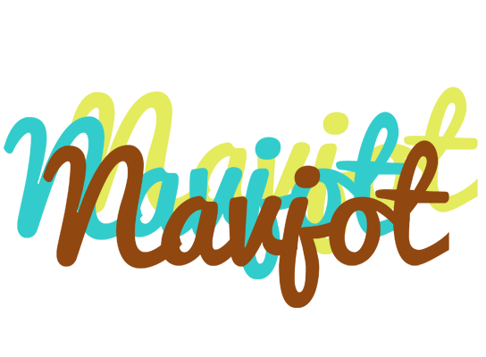 Navjot cupcake logo