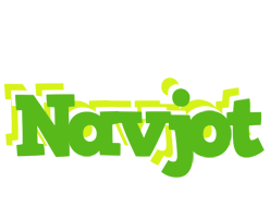 Navjot picnic logo