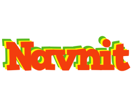 Navnit bbq logo