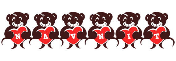 Navnit bear logo