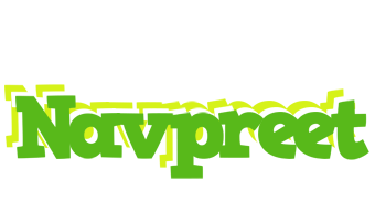 Navpreet picnic logo