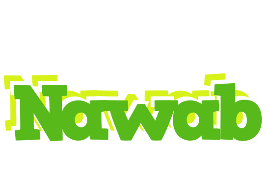 Nawab picnic logo
