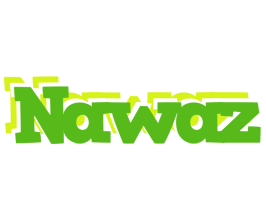 Nawaz picnic logo