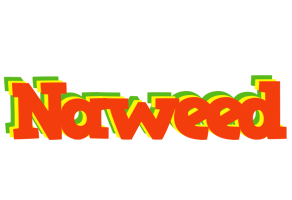 Naweed bbq logo