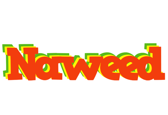 Naweed bbq logo