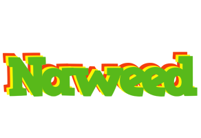 Naweed crocodile logo