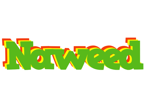 Naweed crocodile logo