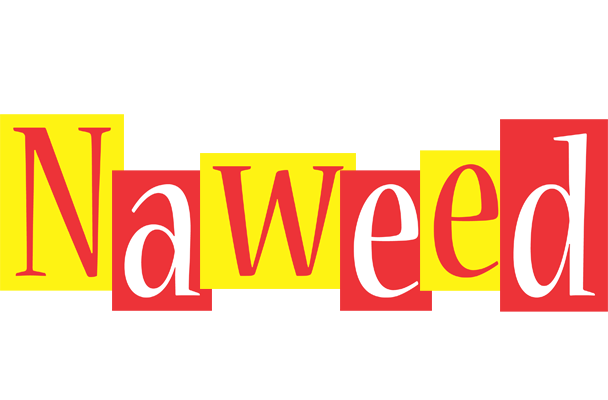 Naweed errors logo