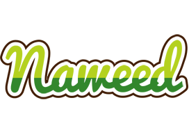 Naweed golfing logo