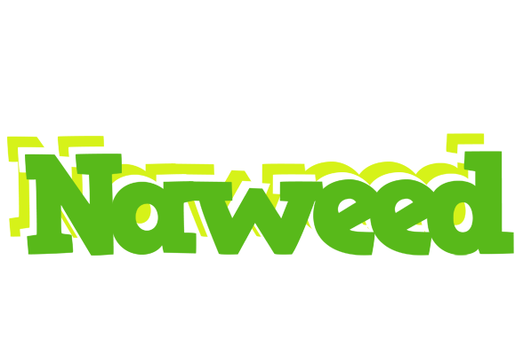 Naweed picnic logo