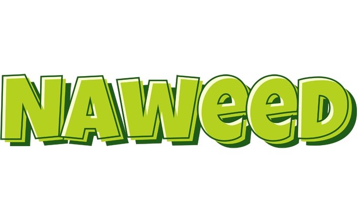 Naweed summer logo