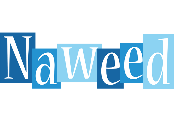 Naweed winter logo