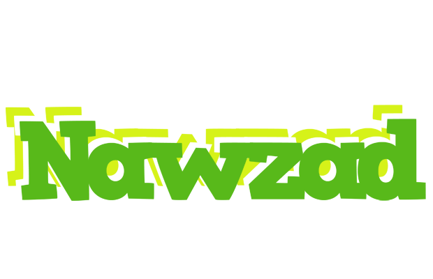 Nawzad picnic logo