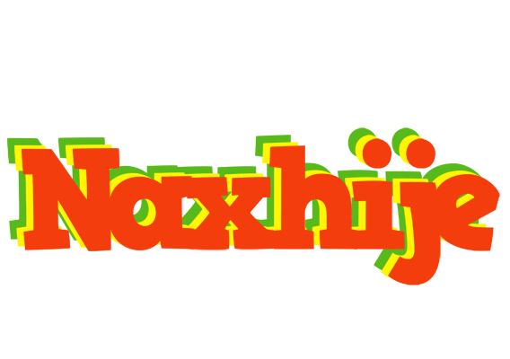 Naxhije bbq logo
