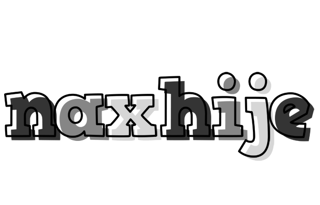 Naxhije night logo