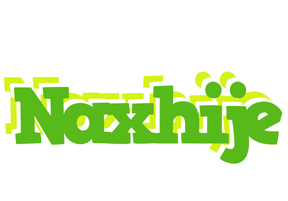 Naxhije picnic logo