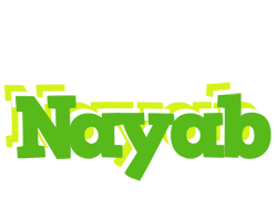 Nayab picnic logo