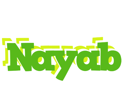Nayab picnic logo