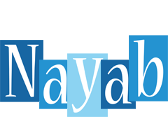 Nayab winter logo