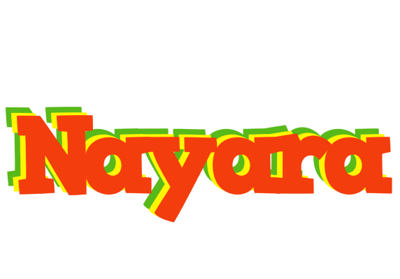 Nayara bbq logo
