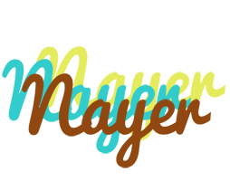 Nayer cupcake logo