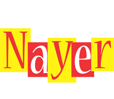 Nayer errors logo