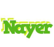 Nayer picnic logo