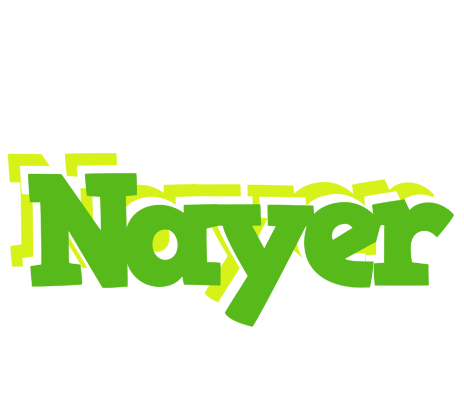 Nayer picnic logo