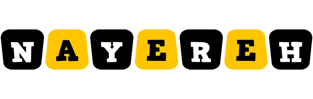 Nayereh boots logo