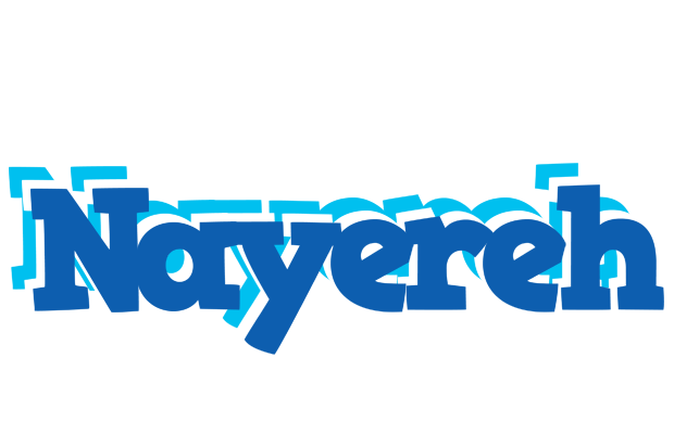 Nayereh business logo