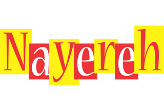 Nayereh errors logo