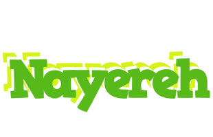 Nayereh picnic logo