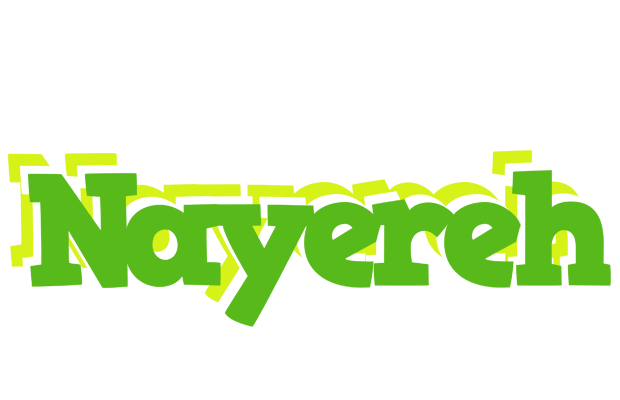 Nayereh picnic logo