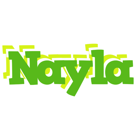 Nayla picnic logo