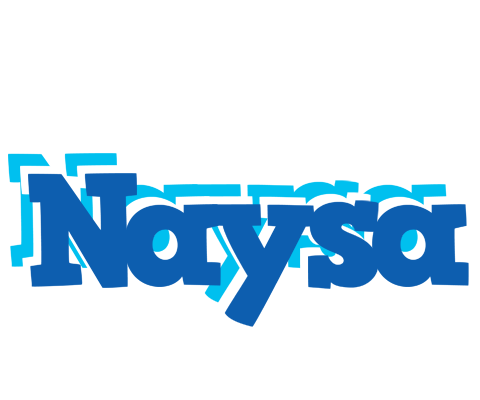 Naysa business logo