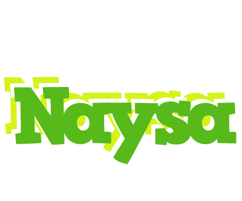 Naysa picnic logo