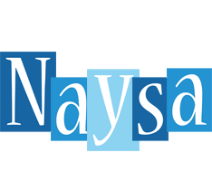 Naysa winter logo