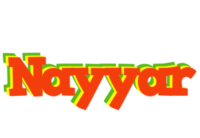 Nayyar bbq logo